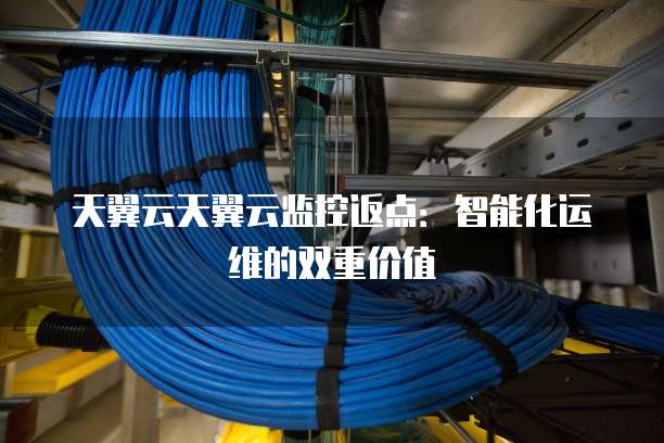 天翼云天翼云监控返点:智能化运维的双重价值