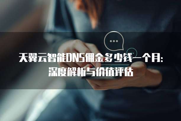 天翼云智能DNS佣金多少钱一个月:深度解析与价值评估