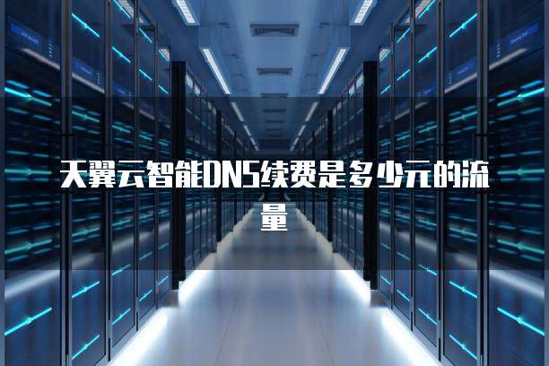 天翼云智能DNS续费是多少元的流量