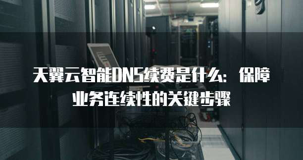 天翼云智能DNS续费是什么:保障业务连续性的关键步骤