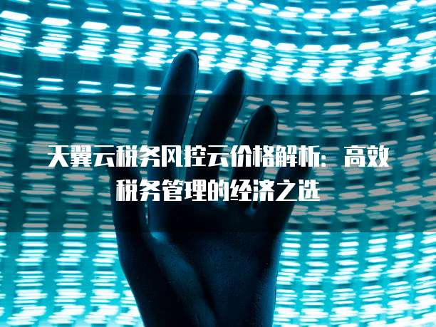 天翼云税务风控云价格解析:高效税务管理的经济之选