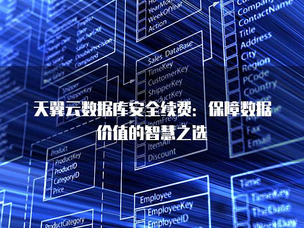 天翼云数据库安全续费:保障数据价值的智慧之选