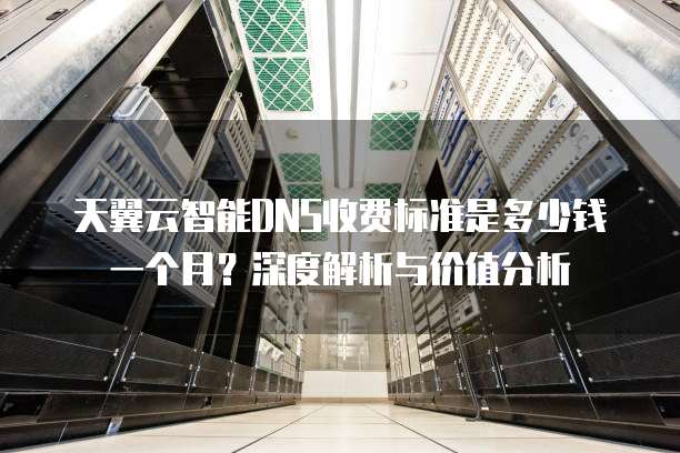 天翼云智能DNS收费标准是多少钱一个月?深度解析与价值分析