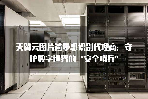 天翼云图片涉暴恐识别代理商:守护数字世界的“安全哨兵”