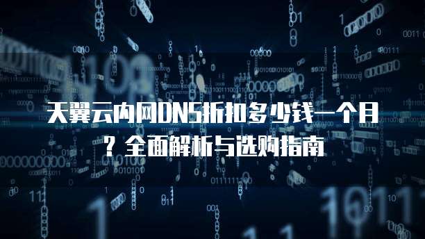 天翼云内网DNS折扣多少钱一个月?全面解析与选购指南