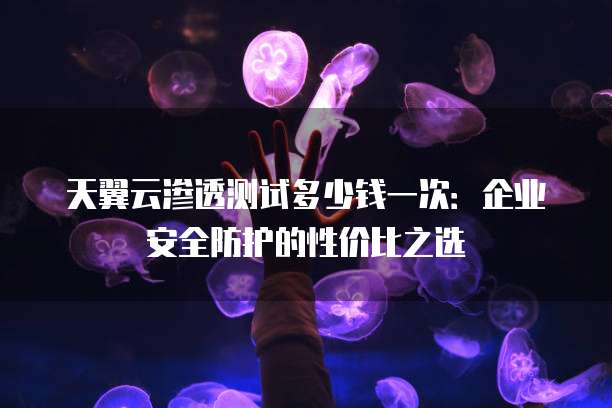 天翼云渗透测试多少钱一次:企业安全防护的性价比之选