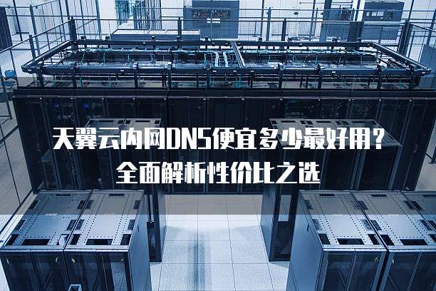 天翼云内网DNS便宜多少最好用?全面解析性价比之选