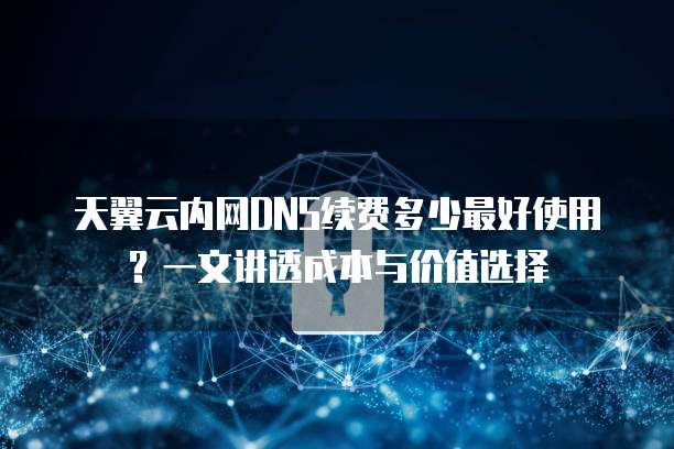 天翼云内网DNS续费多少最好使用?一文讲透成本与价值选择