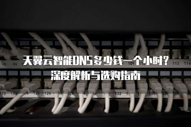 天翼云智能DNS多少钱一个小时?深度解析与选购指南