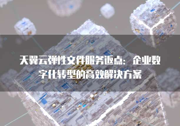 天翼云弹性文件服务返点：企业数字化转型的高效解决方案
