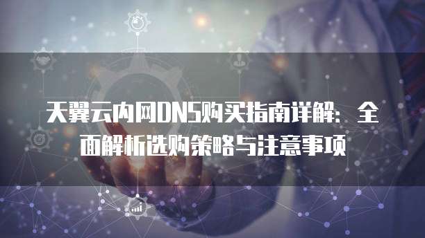 天翼云内网DNS购买指南详解：全面解析选购策略与注意事项