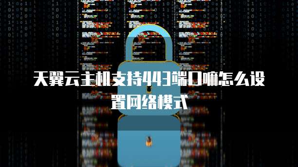 天翼云主机支持443端口嘛怎么设置网络模式