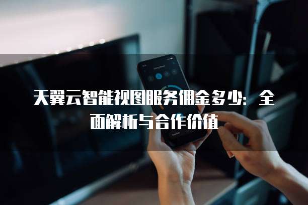 天翼云智能视图服务佣金多少:全面解析与合作价值