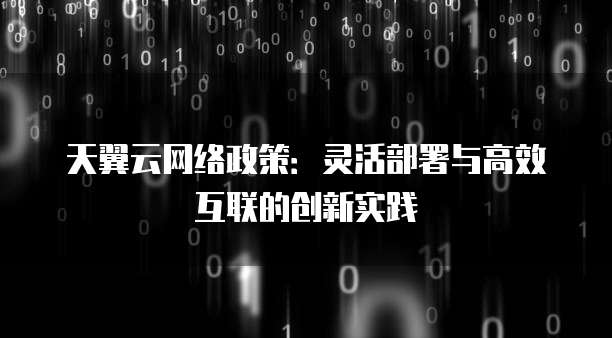 天翼云网络政策：灵活部署与高效互联的创新实践