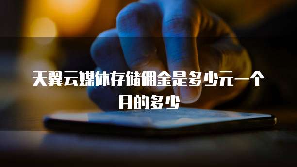 天翼云媒体存储佣金是多少元一个月的多少