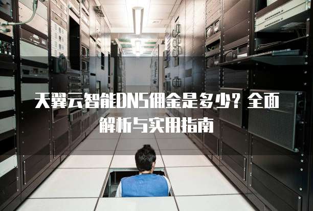 天翼云智能DNS佣金是多少?全面解析与实用指南