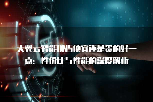 天翼云智能DNS便宜还是贵的好一点：性价比与性能的深度解析