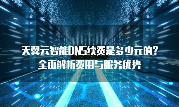 天翼云智能DNS续费是多少元的？全面解析费用与服务优势