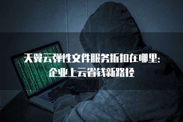 天翼云弹性文件服务折扣在哪里:企业上云省钱新路径