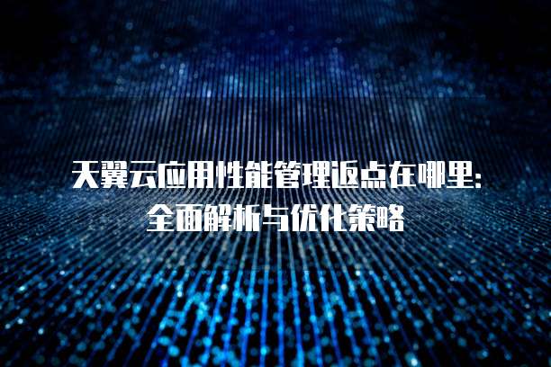 天翼云应用性能管理返点在哪里：全面解析与优化策略