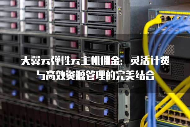 天翼云弹性云主机佣金:灵活计费与高效资源管理的完美结合
