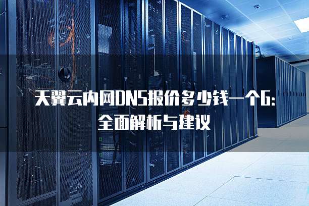 天翼云内网DNS报价多少钱一个G:全面解析与建议