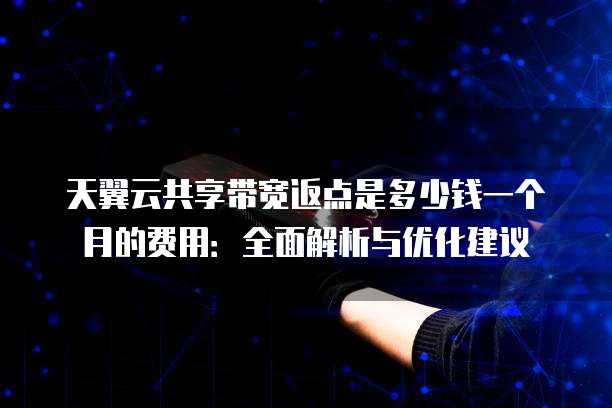 天翼云共享带宽返点是多少钱一个月的费用：全面解析与优化建议