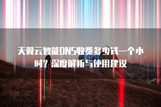 天翼云智能DNS收费多少钱一个小时?深度解析与使用建议