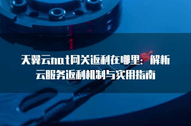 天翼云nat网关返利在哪里:解析云服务返利机制与实用指南