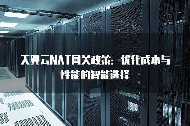 天翼云NAT网关政策:优化成本与性能的智能选择