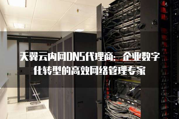 天翼云内网DNS代理商:企业数字化转型的高效网络管理专家