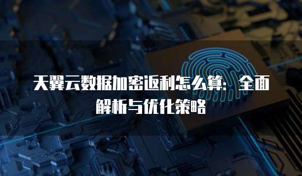天翼云数据加密返利怎么算:全面解析与优化策略