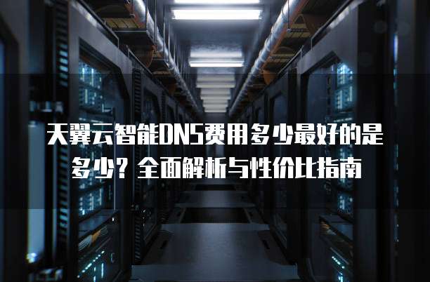 天翼云智能DNS费用多少最好的是多少?全面解析与性价比指南