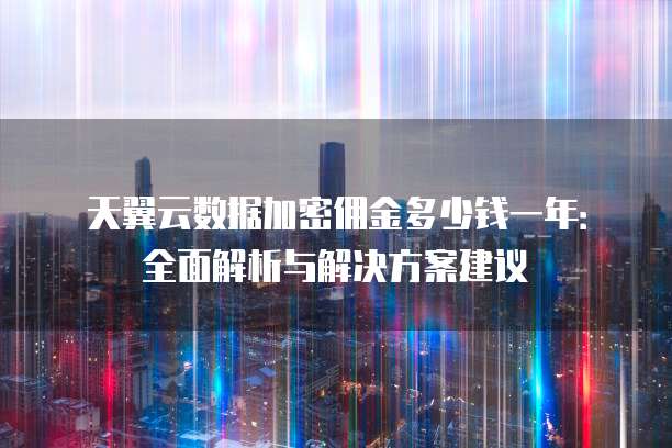 天翼云数据加密佣金多少钱一年：全面解析与解决方案建议