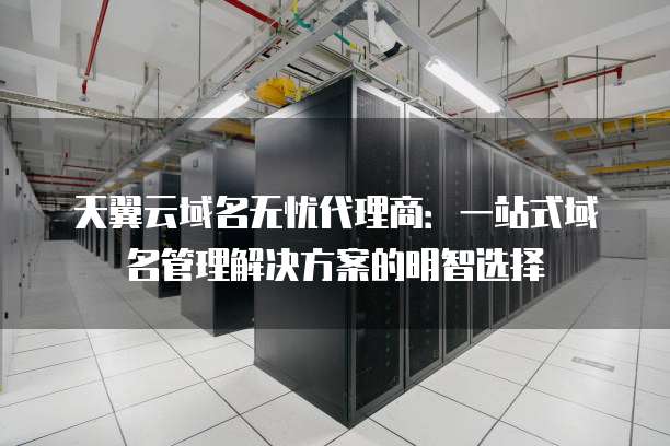 天翼云域名无忧代理商:一站式域名管理解决方案的明智选择