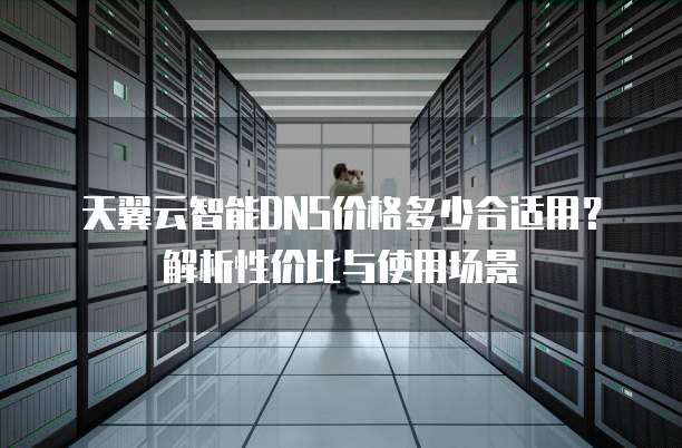 天翼云智能DNS价格多少合适用?解析性价比与使用场景