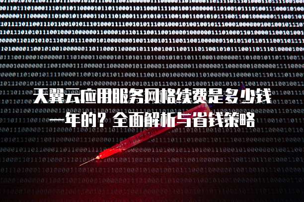 天翼云应用服务网格续费是多少钱一年的?全面解析与省钱策略