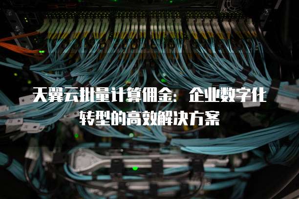天翼云批量计算佣金:企业数字化转型的高效解决方案