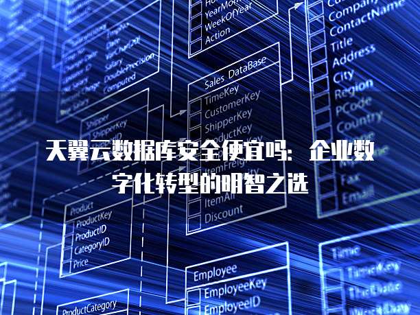 天翼云数据库安全便宜吗:企业数字化转型的明智之选