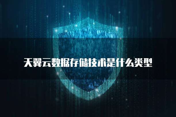 天翼云数据存储技术是什么类型