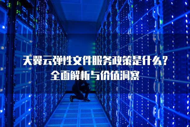 天翼云弹性文件服务政策是什么?全面解析与价值洞察