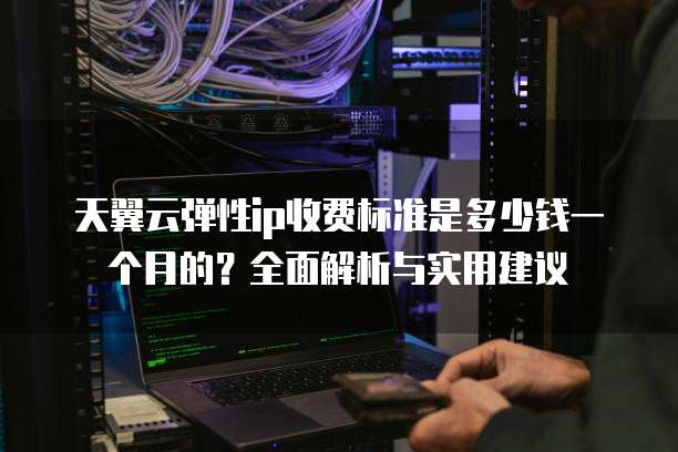 天翼云弹性ip收费标准是多少钱一个月的?全面解析与实用建议