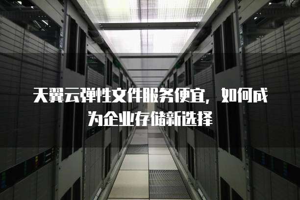天翼云弹性文件服务便宜,如何成为企业存储新选择