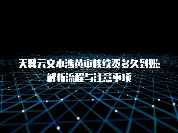 天翼云文本涉黄审核续费多久到账:解析流程与注意事项