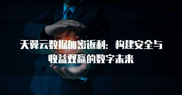 天翼云数据加密返利:构建安全与收益双赢的数字未来