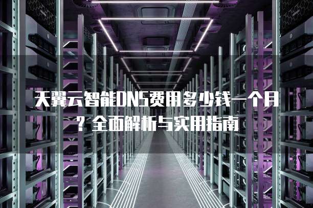 天翼云智能DNS费用多少钱一个月？全面解析与实用指南