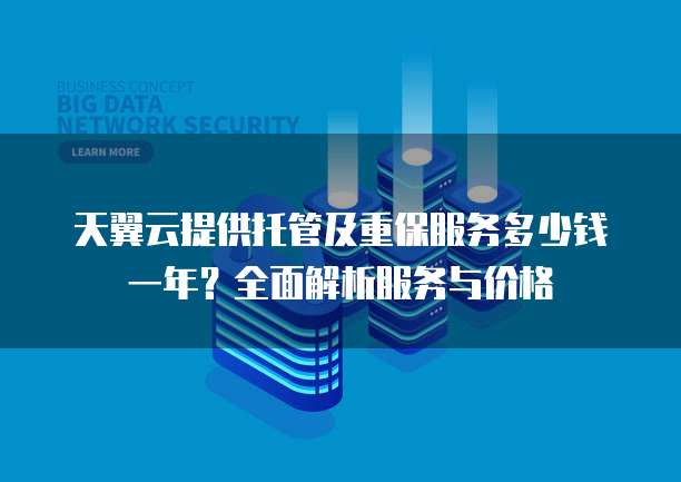 天翼云提供托管及重保服务多少钱一年?全面解析服务与价格
