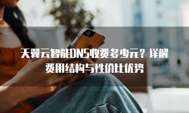 天翼云智能DNS收费多少元?详解费用结构与性价比优势