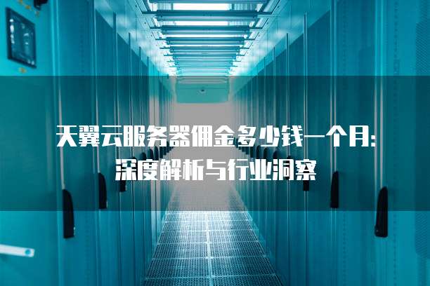 天翼云服务器佣金多少钱一个月:深度解析与行业洞察