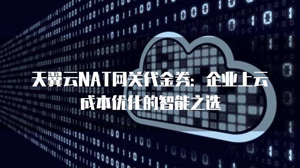天翼云NAT网关代金券:企业上云成本优化的智能之选